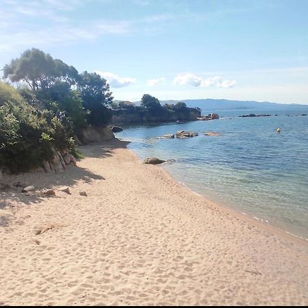 Magnifique T2 Ajaccio Lejlighed Ajaccio  Eksteriør billede