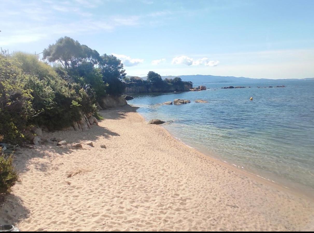 Magnifique T2 Ajaccio Lejlighed Ajaccio  Eksteriør billede